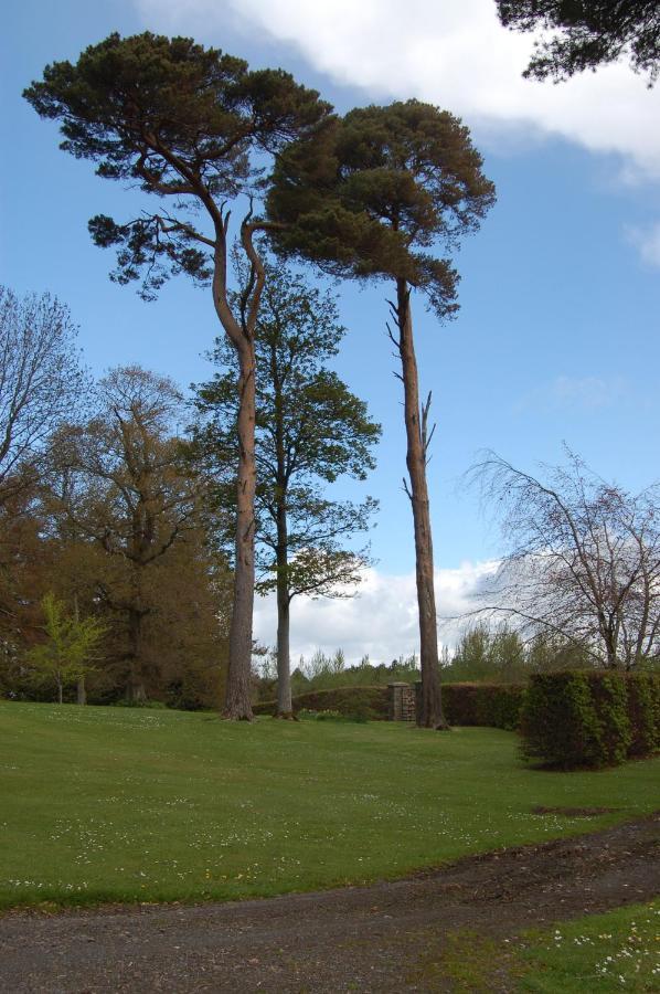 Ballydugan Country House Downpatrick Luaran gambar
