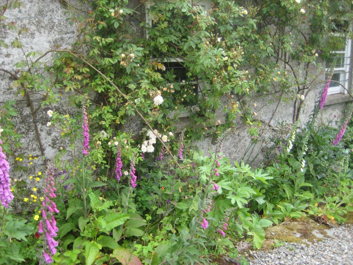 Ballydugan Country House Downpatrick Luaran gambar